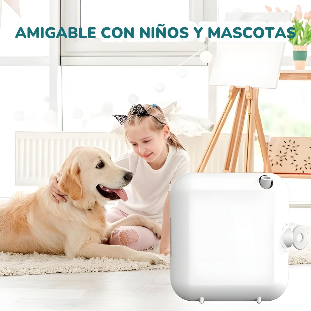 Imagen-de-WhatsApp-2024-08-28-a-las-17.29.13_dab0311d